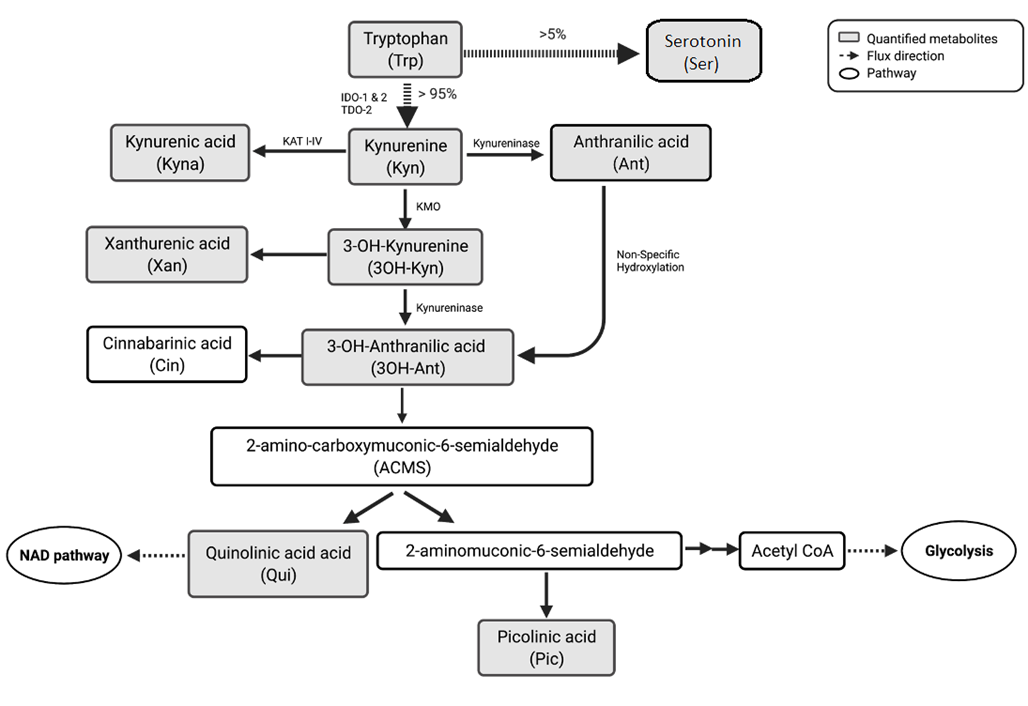 Quantification of tryptophan metabolites in the kynurenine pathway image 1